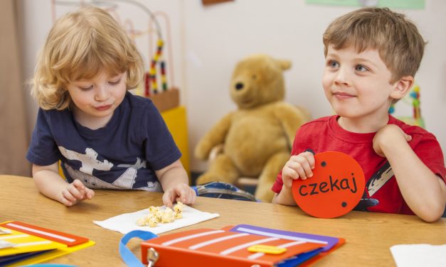 Co to jest Podejście Pyramid do Edukacji?